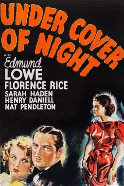 Under Cover of night - постер