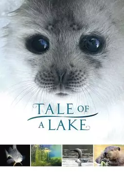 Сказка озера - постер