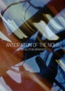 Anticipation of the night - постер