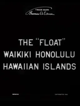 The 'Float', Waikiki, Honolulu, Hawaiian Islands - постер