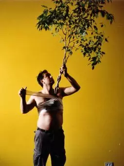 Scènes de chasse au sanglier - постер