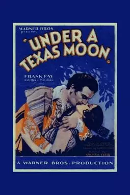 Под техасской луной - постер