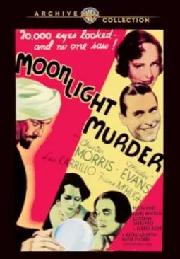 Moonlight Murder - постер