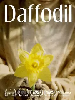 Daffodil - постер