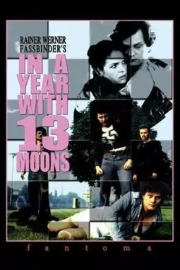 В год тринадцати лун - постер