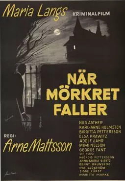 När mörkret faller - постер