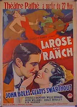 Роза ранчо - постер