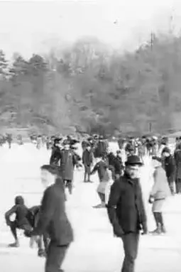 Skating in Central Park - постер