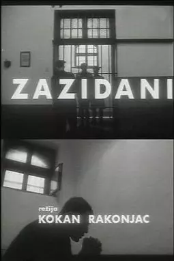 Zazidani - постер