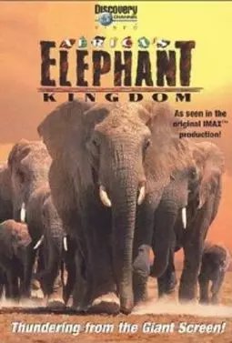 Африка: Королевство слонов - постер