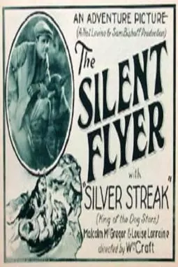 The Silent Flyer - постер