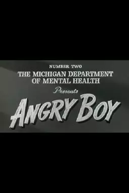 Angry Boy - постер