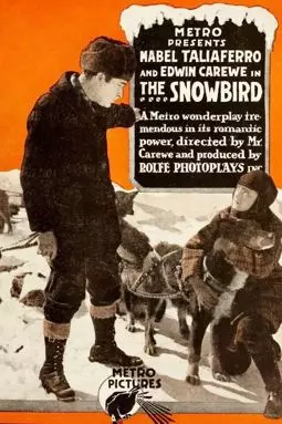 The Snowbird - постер