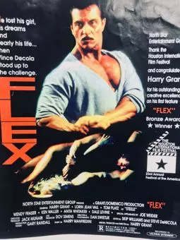 Flex - постер