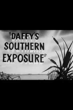 Daffy's Southern Exposure - постер