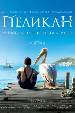 Пеликан - постер