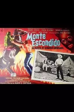 La pantera de Monte Escondido - постер