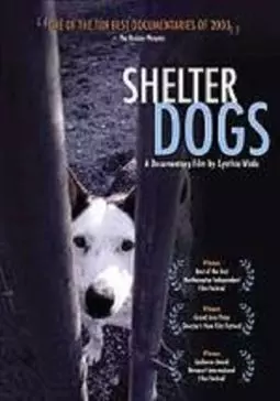 Shelter Dogs - постер