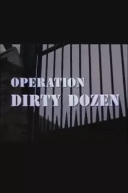 Operation Dirty Dozen - постер