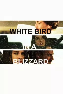 Белая птица в метели - постер