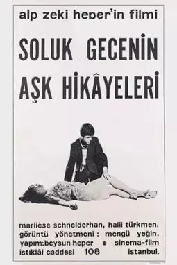 Soluk gecenin ask hikayeleri - постер