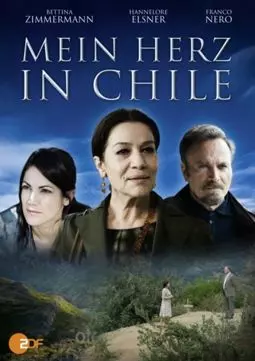 Mein Herz in Chile - постер