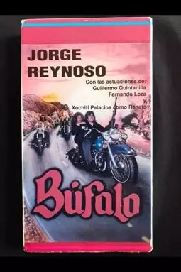 Bufalo - постер