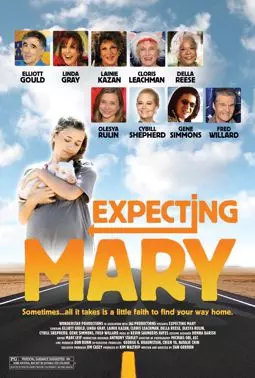 Ожидание Мери - постер