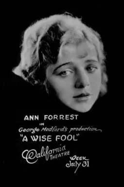A Wise Fool - постер