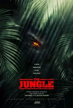 Джунгли - постер