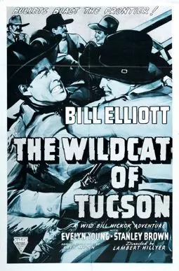 The Wildcat of Tucson - постер