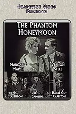 The Phantom Honeymoon - постер