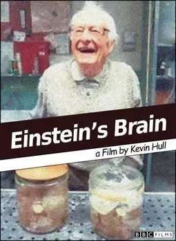 Relics: Einstein's Brain - постер