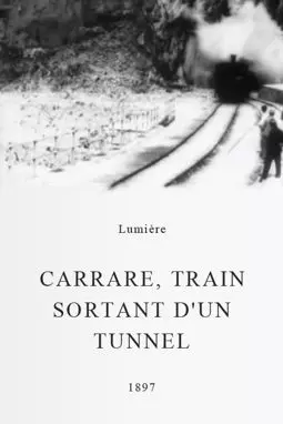 Carrare, train sortant d'un tunnel - постер